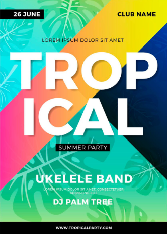 Cover 11